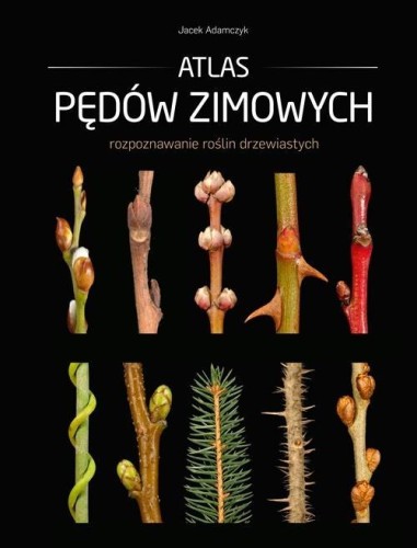 Atlas pędów zimowych, Jacek Adamczyk