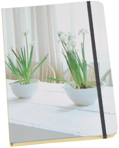 Notatnik B5 TW 192 strony linia Pure Style