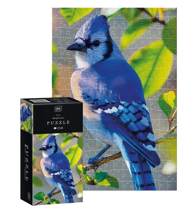 Puzzle 250 Colourful Nature Blue Jay, INTERDRUK