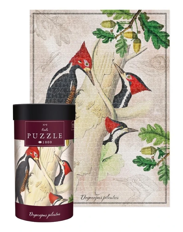Puzzle 1000 Birds Dryocopus pileatus, INTERDRUK