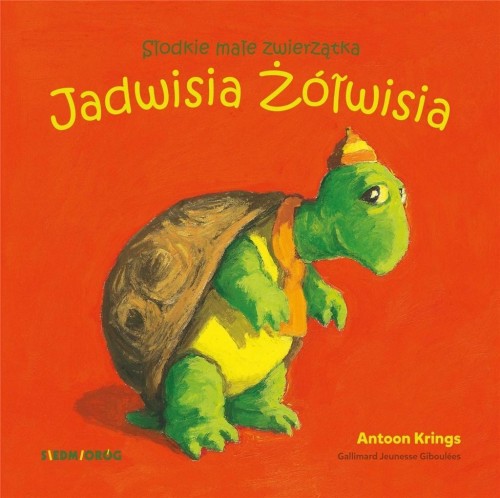 Jadwisia Żółwisia, Antoon Krings